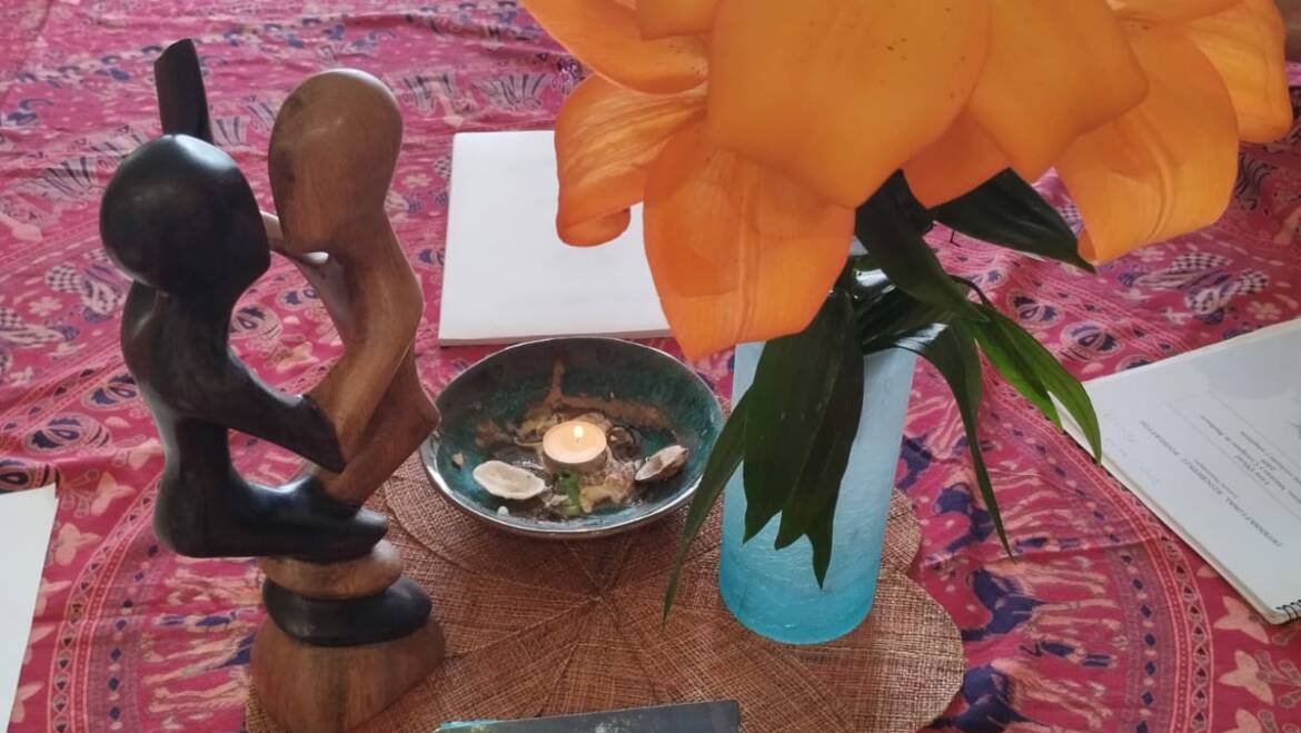 Talleres / Especializaciones